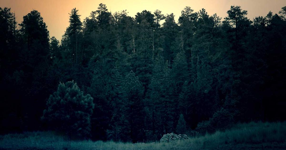 My Hero Academia Final Season: A Heroic Conclusion Review