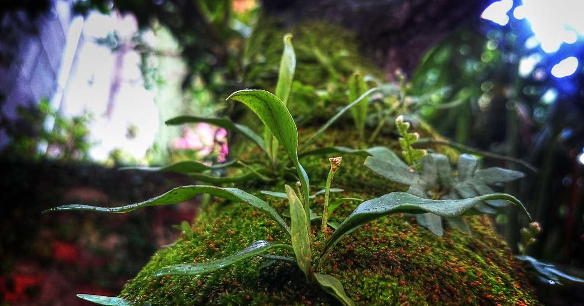 Zombie Land Saga Returns with Feature Film in 2026